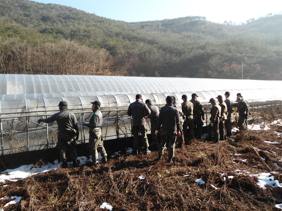 육군 제35사단 장병 농촌일손돕기 1번째 이미지